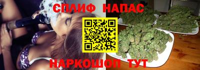 прущий лед Будённовск
