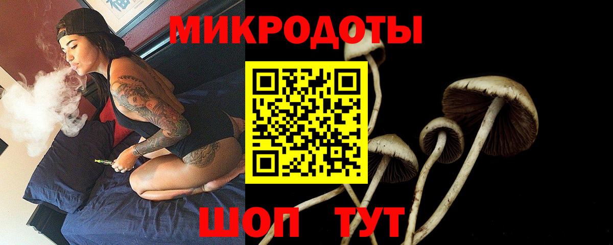 Одинцово  Галлюциногенные грибы мухоморы  Вход с VPN 
